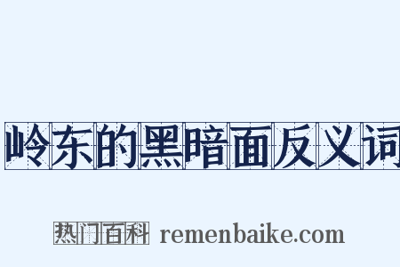 岭东的黑暗面反义词是什么意思的图片